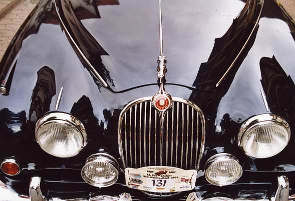 Jaguar 131